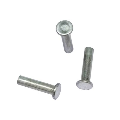 Factory Wholesale Solid Rivets